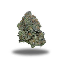 Pink Ivy – Indica