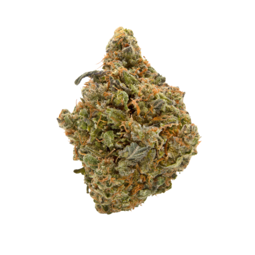 Orange Crush – Sativa/Hybrid