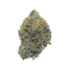 Octane 98 LSO – Indica