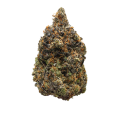 Pink Bazooka – Indica