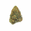 Amnesia Haze – Sativa