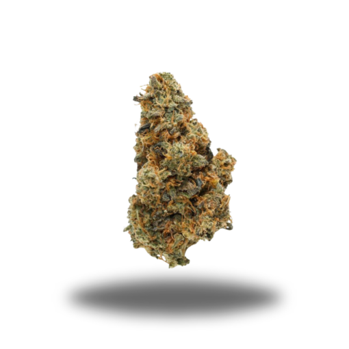 Orange Push Pop – Sativa