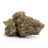 Hell Fire Pink – Indica