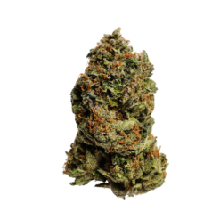 Killer Kush – Indica