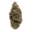 Pink Bazooka – Indica