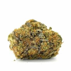 Captain Chronic – Sativa