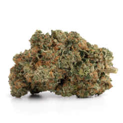 Pink Kush – Indica