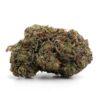 Pink Rockstar – Indica