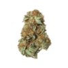 Lucky 7 Pink – Indica