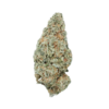 MK Ultra – Indica Limited Special