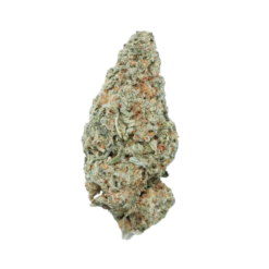 Very Berry – Sativa Bulk