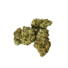 acapulco gold