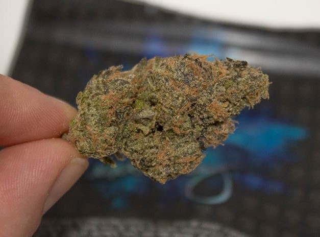 ace of spades strain 3 - Ace of Spades Strain Review