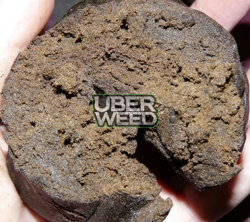 Best Hash Online Canada