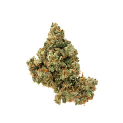 Black Jack Kush – Hybrid BULK