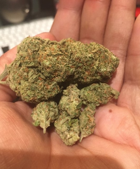 cannabis strains that have a tropical taste - Best Marijuana Strains That Have a Tropical Taste