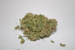 captain chronic 1601769441611 13 247x165 - Captain Chronic - Sativa