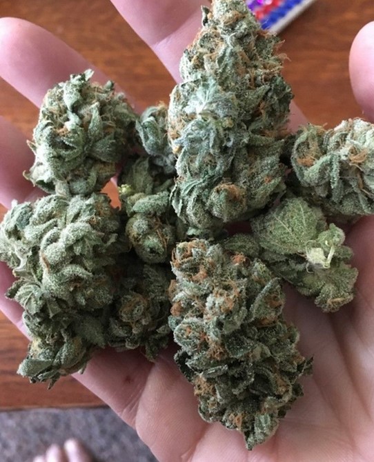 cherry og strain review 01 - Cherry OG Strain: The Full Review