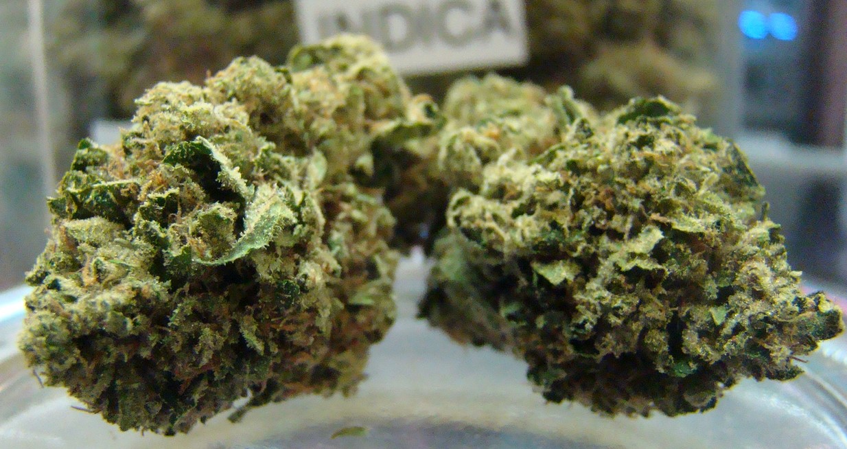 critical kush marijuana strain review 3 - Critical Kush Marijuana Strain Review