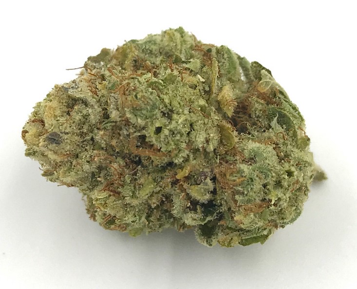 critical kush marijuana strain review - Critical Kush Marijuana Strain Review