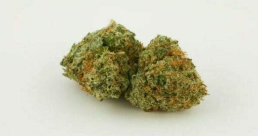 Cherry Kush – Hybrid