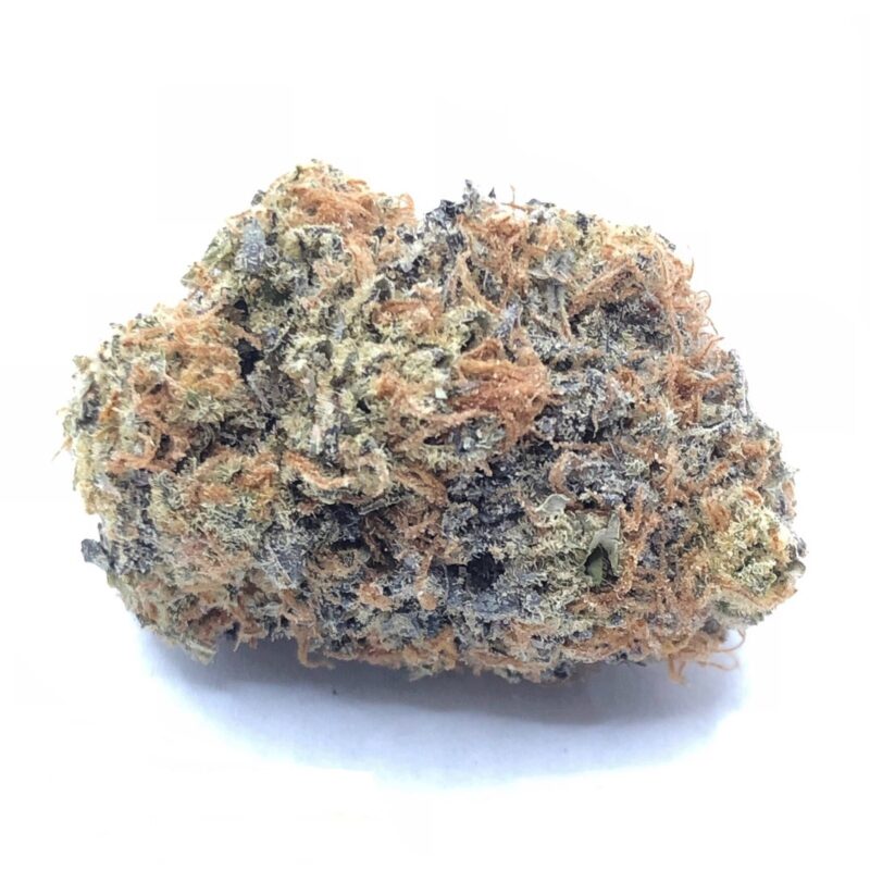 dank sinatra strain 800x800 - Cannabis Delivery in Toronto