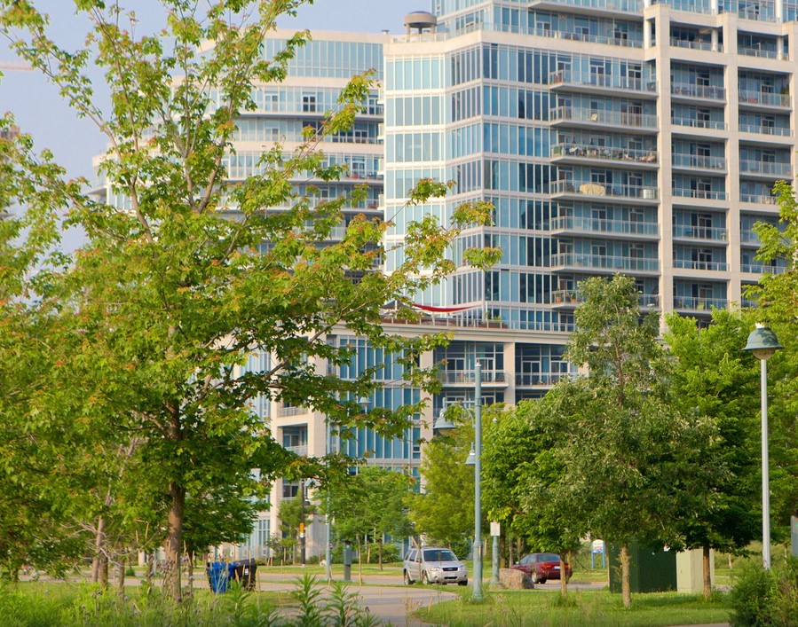 etobicoke - Etobicoke Cannabis Delivery