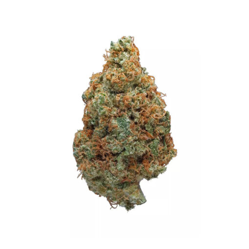 Hawaiian Punch – Sativa BULK