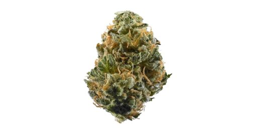 Nitro OG – Hybrid