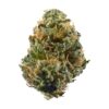 Black Dutch –  Indica