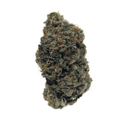 Black Gold – Indica Bulk