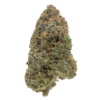 Miami Pink – Indica