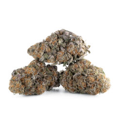 Purple Punch – Sativa