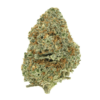 Pink Venom – Indica