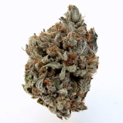 Chemo Kush – Hybrid BULK