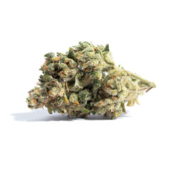 Lemon Drops – Sativa BULK