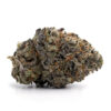 Girl Scout Cookies – Hybrid