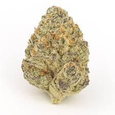 Pink Predator – Indica