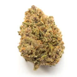 Skunk OG – Hybrid