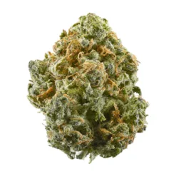 Sunset OG – Indica