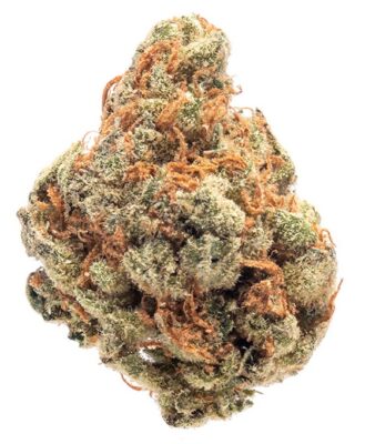 super lemon haze weed 2 329x400 - Super Lemon Haze Cannabis Strain Reviews