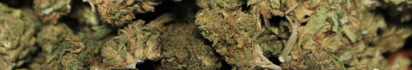 uberweed fl - Farmer's Link Weed Delivery Toronto | UberweedShop Cannabis Dispensary Reviews